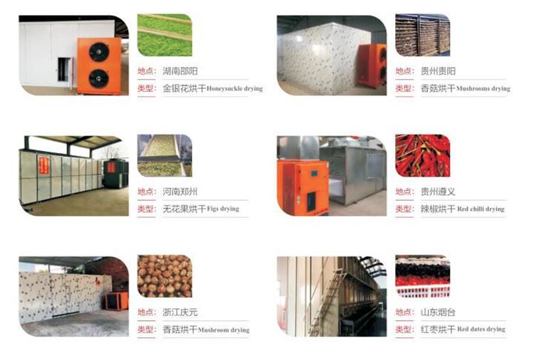 product-750-496 08